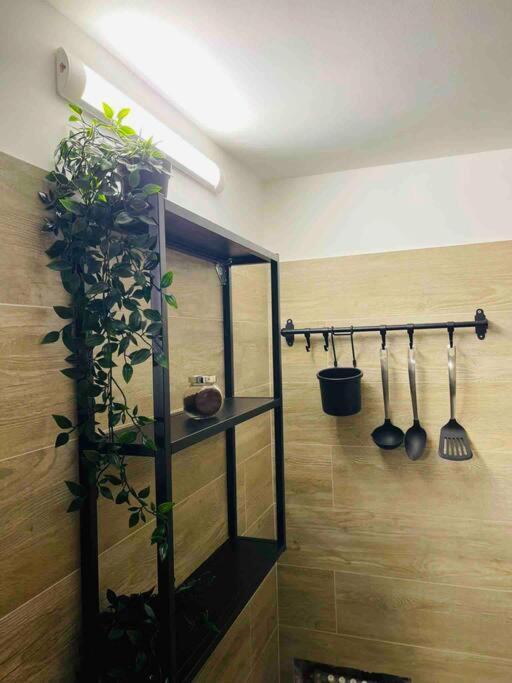 Bella Sicilia Appartement Palermo Buitenkant foto