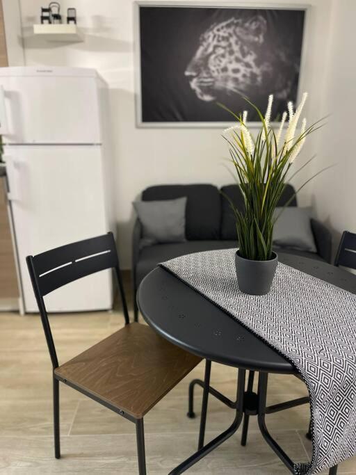Bella Sicilia Appartement Palermo Buitenkant foto